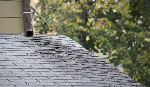 temporary shingle repair